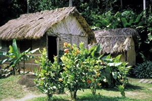 Abode Prints: Caribbean, St. Lucia