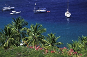 Moorage Prints: Caribbean, St. Lucia, Anse Chastanet. Bay view from Anse Chastanet Hotel