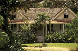 Pathway Prints: Caribbean, St. Lucia, Choiseul. Balembouche Estate, former sugar plantation