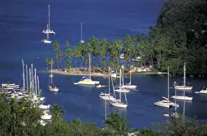 Yachting Prints: Caribbean, St. Lucia, Marigot Bay. Bay view