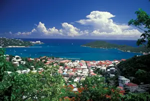 Paradise Point Prints: CARIBBEAN, St. Thomas, Charlotte Amalie View overlooking town and bay