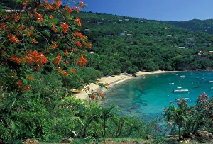 Hull Prints: CARIBBEAN, St Thomas Hull Bay