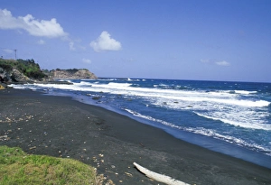 Caribbean, St. Vincent, Grenadines. Scenic beach