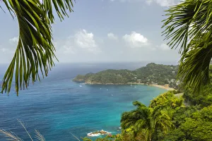 Caribbean, Tobago. Castara Bay ocean beach and jungle landscape