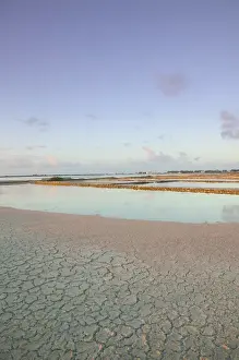 Salt Prints: Caribbean, TURKS & CAICOS-Salt Cay Island- Historic Former Worlds Greatest Producer of Salt