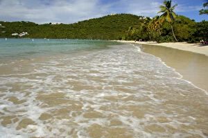 Images Dated 4th December 2006: Caribbean, U.S. Virgin Islands, St.Thomas, Magens Bay