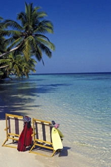 Snorkel Prints: Caribbean, USA, Puerto Rico. Beach scene