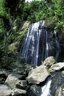 Caribbean, USA, Puerto Rico, El Yunque National Rain Forest. Waterfall
