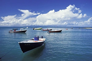 Vieques Prints: Caribbean, USA, Puerto Rico, Vieques. Fishing boats