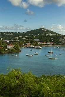 Images Dated 15th November 2013: Caribbean, USA Virgin Islands, St. John. Scenic of Cruz Bay