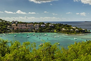 Images Dated 19th November 2013: Caribbean, USA Virgin Islands, St. John. Scenic of Cruz Bay
