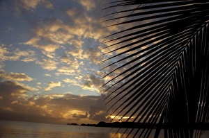 Images Dated 10th December 2006: Caribbean, US Virgin Islands