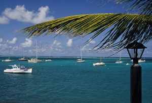 Caribbean: US Virgin Islands, St Croix, Christiansted, view of harbor and boats