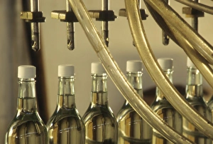 Images Dated 13th December 2010: Caribbean: US Virgin Islands, St Croix, detail of bottles along assembly line