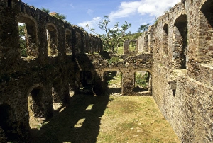 Caribbean: US Virgin Islands, St Croix, Mt Victory, estate ruins, March