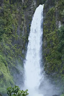 Images Dated 24th March 2019: Caribbean, West Indies, Dominica Island. One of Dominica