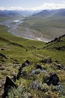 Images Dated 28th June 2006: Caribou Pass and Kongakut River Valley - Arctic National Wildlife Refuge, Alaska