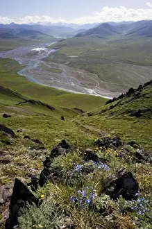 Kongakut River Prints: Caribou Pass and Kongakut River Valley - Arctic National Wildlife Refuge, Alaska