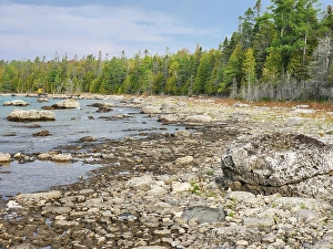 Images Dated 13th May 2024: Carl A. Gerstacker Nature Preserve on Dudley Bay along the shores of Lake Huron in the Eastern Upper Peninsula