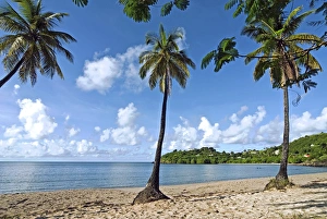 Images Dated 19th November 2008: Carlisle Bay beach, Antigua, West Indies, Caribbean, Central America