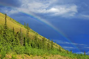 Yukon Prints: Carmacks. Rainbow over mountain slope. Credit as: Mike Grandmaison / Jaynes Gallery