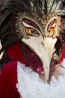 Images Dated 10th February 2013: Carnival Venice Italy Masked Costumes