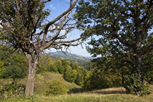 The Carpathian Mountains west of Baia de Arama
