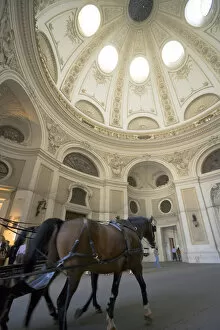 Carriage horses (Fiaker) inside Michaelertor of Hofburg Imperial Palace, Vienna, Austria