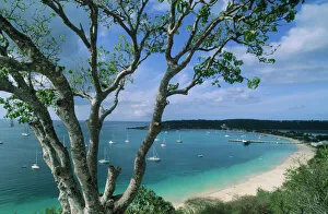 Surf Prints: Carribean, Anguilla Island, Road Bay Harbour