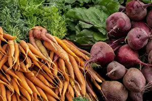 Food & Beverage Collection: Carrots and beets, USA