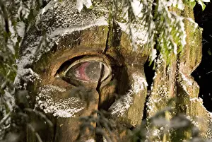 Images Dated 2nd December 2007: Carving, Stanley Park, British Columbia (Artist Unknown)