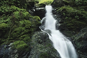 Fairfax Prints: Cascade Falls, Elliot Nature Preserve, Fairfax, California