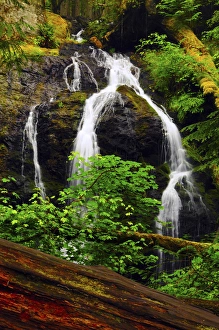 Images Dated 22nd July 2012: Cascade Falls, Moran State Park, Orcas Island, Washington, USA