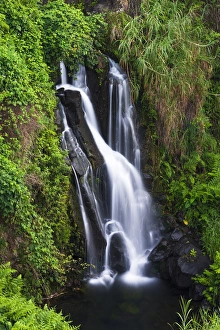 Cascade on the Hamakua Coast, The Big Island, Hawaii USA