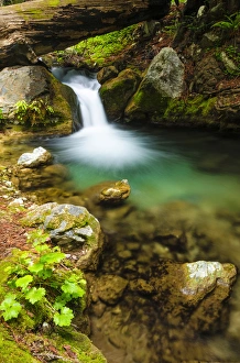 Images Dated 18th June 2012: Cascade on Hare Creek, Limekiln State Park, Big Sur, California USA