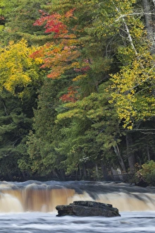 Cascade on lower section of Tahquamenon Falls, Tahquamenon Falls State Park, Upper Peninsula