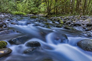 Images Dated 30th July 2016: Cascade in the South Fork of the McKenzie River in the Willamette National Forest
