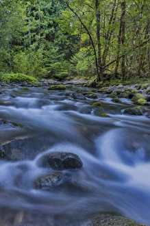 Mckenzie River Prints: Cascade in the South Fork of the McKenzie River in the Willamette National Forest