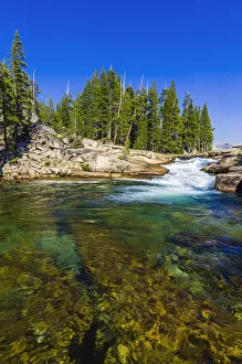 Images Dated 16th August 2011: Cascade on the Tuolumne River, Tuolumne Meadows, Yosemite National Park, California, USA