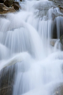 Images Dated 4th October 2009: The cascades in the valley of river Isel in fall, national park Hohe Tauern Europe