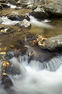 Images Dated 3rd November 2005: Cascading autumn stream, Hazel River, Sams Ridge Trail, Shenandoah NP, Virginia