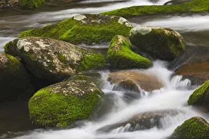 Cascading mountain stream, Great Smoky Mountains National Park, Tennessee, North Carolina