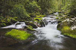 Cascading mountain stream, Great Smoky Mountains National Park, Tennessee, North Carolina