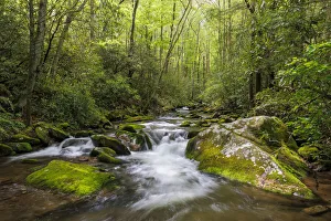 Cascading mountain stream, Great Smoky Mountains National Park, Tennessee, North Carolina