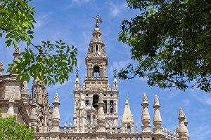 Clear Sky Prints: Casco Antiguo, Seville, Andalusia, Spain. Bell tower of the Seville Cathedral