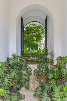 Entry Prints: Casco Antiguo, Seville, Seville Province