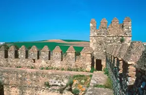 Castillo Prints: Castillo de Las Aguzaderas is a castle with a view of agriculture in South Central Spain