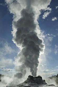 Castle Geyser erupting, Upper Geyser Basin, Yellowstone National Park, Wyoming / Montana