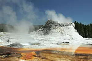 Volcanic Prints: Castle Geyser, Yellowstone National Park, Wyoming