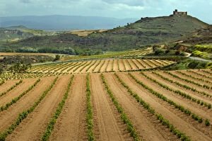 Images Dated 7th May 2006: Castle overlooks vineyards along the San Vicente to Banos de Ebro Road in the La